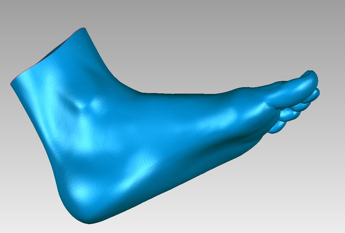 脚模型下载stl模型下载3d模型下载3d打印素材
